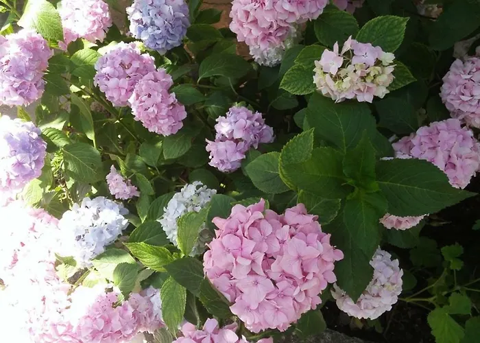 Keno's Auberge de jeunesse Saranda