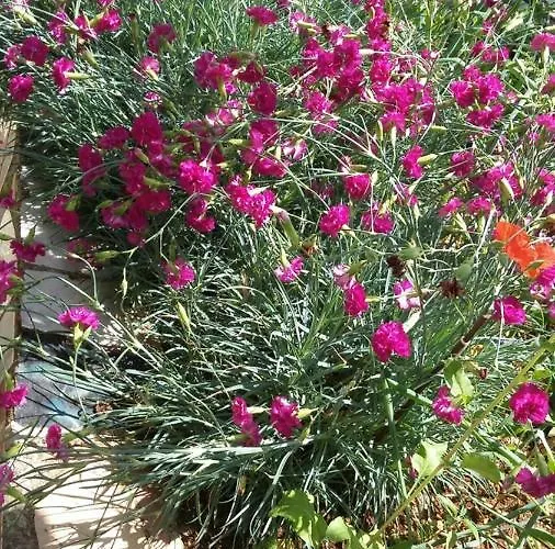 Auberge de jeunesse Keno's *