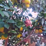 Keno's Саранда
